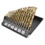 NEO TOOLS 19-Piece HSS-TiN Metal Drill Bit Set 1.0-10.0 mm