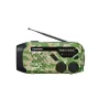 Blaupunkt ER10GC Portable Analog FM/AM Radio Receiver with Telescopic Antenna, Integrated Speaker, Carrying Handle, Green