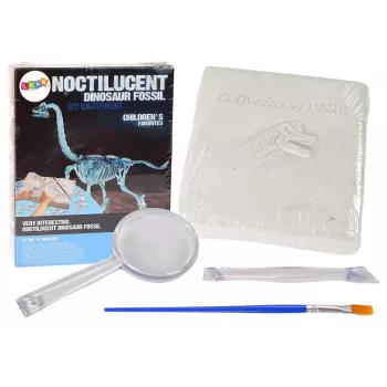 LEAN TOYS Archaeology Excavation Kit Dinosaur Skeleton 3D Brachiosaurus Hologram