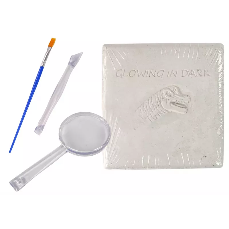 LEAN TOYS Archaeology Excavation Kit Dinosaur Skeleton 3D Brachiosaurus Hologram