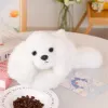 LEAN TOYS Plush Maltese Dog with Weighted Paws White 30cm