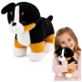 LEAN TOYS Plush Soft Dog Cuddly Toy Bernese Mountain Dog 30x30 cm