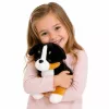 LEAN TOYS Plush Soft Dog Cuddly Toy Bernese Mountain Dog 30x30 cm