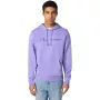 Champion Men's Hooded Sweatshirt Purple 220782 VS024 XL