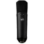 Warm Audio WA-87 R2 BL Large-Diaphragm Condenser Microphone - Nickel