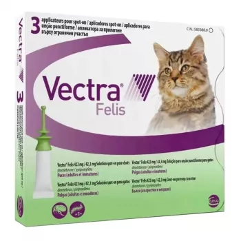 Ceva Vectra Felis Spot-On Flea Treatment for Cats – 3 Pipettes