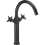 DEANTE Arnika High Basin Mixer Chrome Single-Lever Deck-Mounted