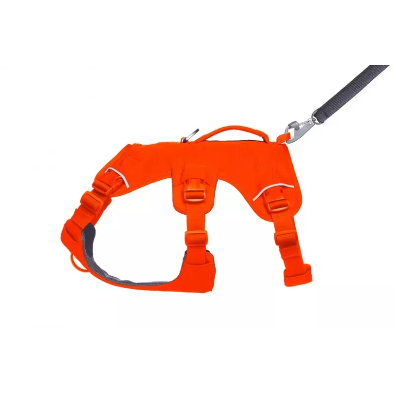 Ruffwear Web Master Multi-Use Support Dog Harness, Blaze Orange, Size M