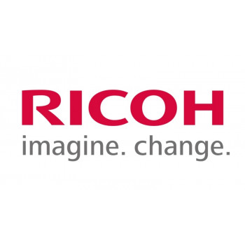 Ricoh D1583890 (D158-3890) ELECTRODE PLATE:SEPARATION