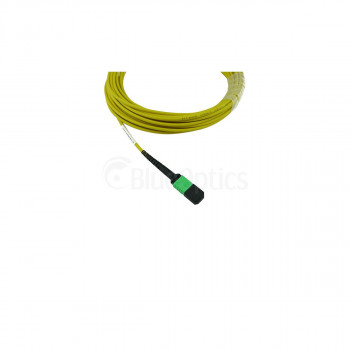 BlueOptics Ubiquiti UACC-OFC-SA-MPMP-3M MPO-MPO Single-mode OS2 Patchkabel 3 Meter