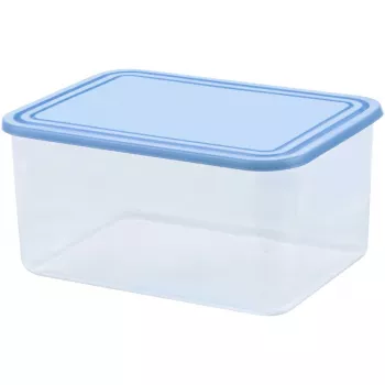 CURVER Smart To Go Rectangular Food Container 4L Transparent with Blue Lid