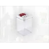 LEIFHEIT Fresh&Easy Food Storage Container 800ml, Airtight, Stackable, BPA-Free, Transparent with White/Green Lid