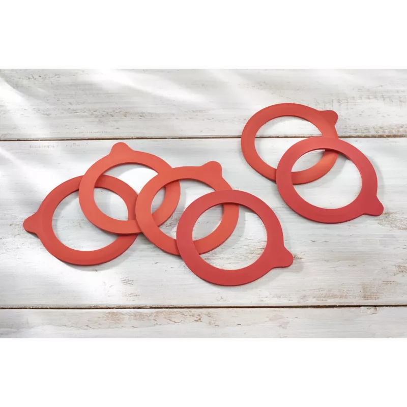 LEIFHEIT Replacement Rubber Rings 6 pcs. 68x94 mm for Leak-Proof Jars 1140 ml