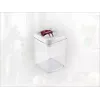 LEIFHEIT Fresh&Easy Airtight Food Storage Container 1.6L, BPA-Free, Transparent with Green Lid