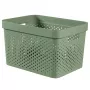 CURVER Infinity Recycled Box 17L 36x27x22cm Green