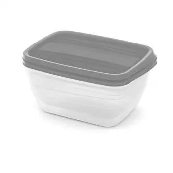 Curver Vedo Rectangular Pet Food Bowl Set 2x1.3L Transparent Grey