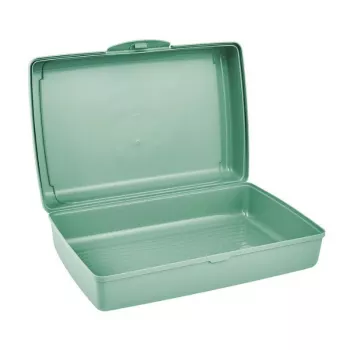 KEEEPER click-box maxi 3.7L Food Storage Container Luca, Green, Rectangular, Airtight & Leak-Proof
