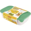 Curver Fresh & Go Food Bowl Set, 3 Rectangular Containers, 2L + 1L + 0.5L, Transparent with Coloured Airtight Lids