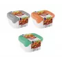 Curver Fresh & Go Food Bowl Set of 3, 0.8 L Each, Rectangular, Airtight Lids, Mixed Colours, BPA-Free
