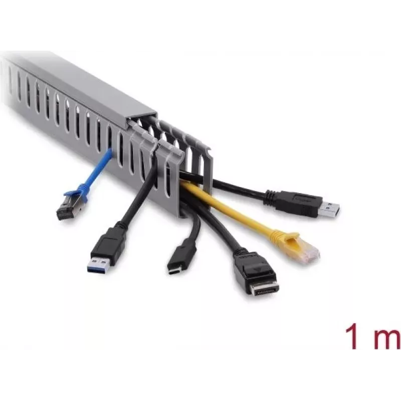 Delock Wiring Duct 25 x 50 mm, Length 1 m, Grey