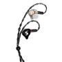 Stagg SPM-PRO BK In-Ear Monitor Headphones with 10mm Dynamic Drivers, Detachable Cable, Black