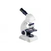 LEAN TOYS Microscope for Children 80x 200x 450x with Accessories