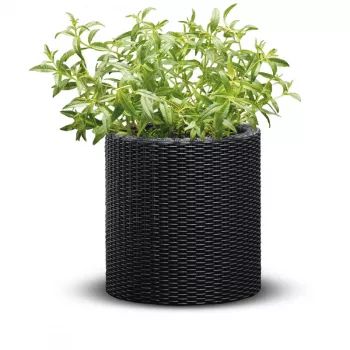 KETER 29197833939 Cylinder Planter Grey 12L Durable Resin Flower Pot with Drainage