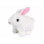 LEAN TOYS Walking Bunny Interactive Toy Short Hair White