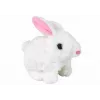 LEAN TOYS Walking Bunny Interactive Toy Short Hair White
