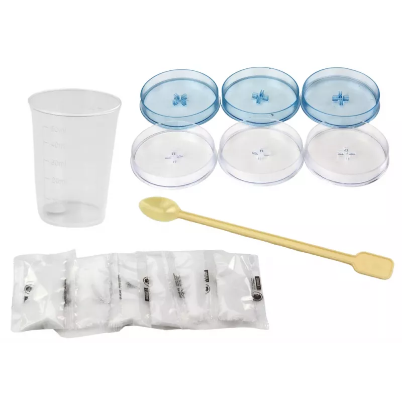 LEAN TOYS Creative Educational Kit for Growing Crystal Trees