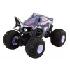 LEAN TOYS Large Off-Road Remote Controlled Car 2.4G RC 1:6 Shark