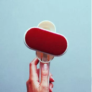 RAYEN Clothes brush swivel