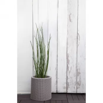 KETER Flowerpot Small Cylinder Planter light grey