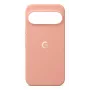 GOOGLE Pixel 11 Pro XL Case Canyon PKK4 5B05