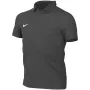 Nike Park 26 Polo kids' t-shirt grey IB1195 071 M