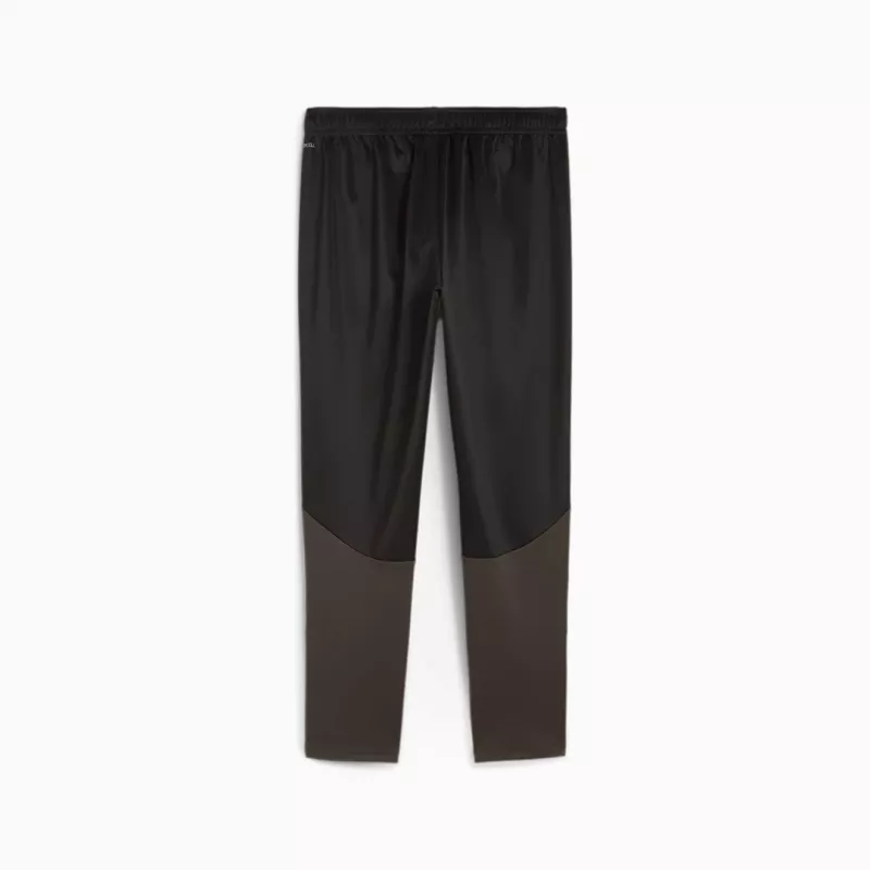 Men's trousers Puma Team Goal Training black 658639 03 S