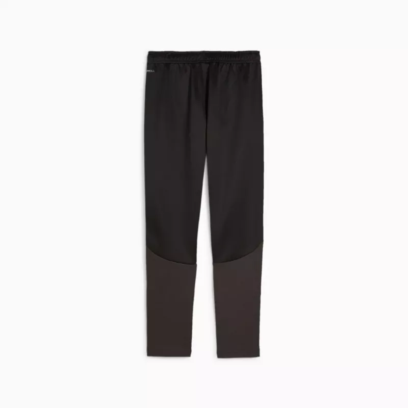 Puma Team Goal Training children's trousers black 658641 03 164cm