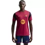 Men's T-shirt Nike FC Barcelona Strike burgundy II2254 621 L