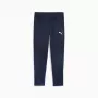 Puma Team Goal Training men's trousers navy blue 658639 06 S