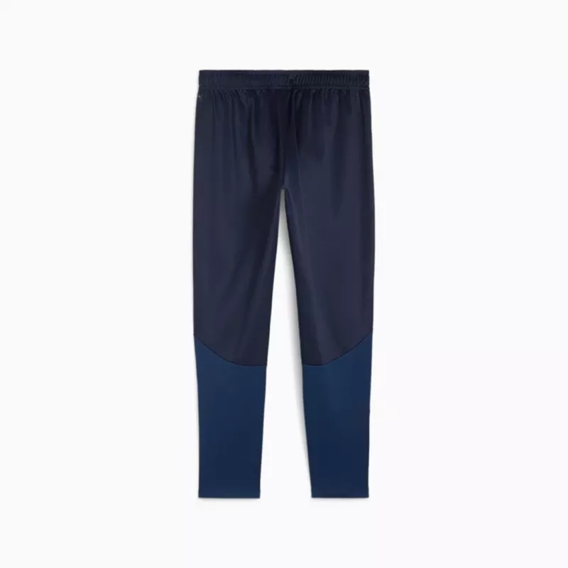 Puma Team Goal Training men's trousers navy blue 658639 06 S