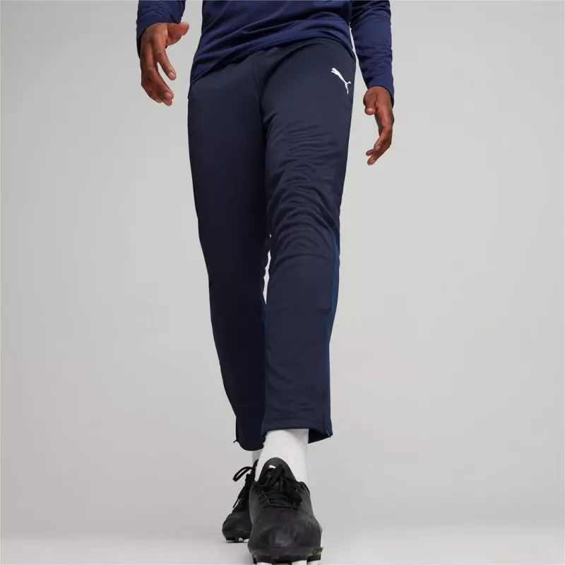 Men's Puma Team Goal Training trousers navy blue 658639 06 M