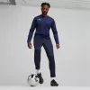 Men's Puma Team Goal Training trousers navy blue 658639 06 M