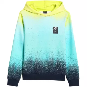 Boy's sweatshirt 4F M3184 multicolour 4FJWSS26TSWSM3184 90A 164cm