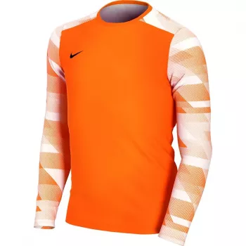 Nike Dry Park IV JSY LS GK Junior Goalkeeper Sweatshirt Orange CJ6072 819 XS