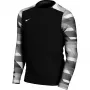 Nike Dry Park IV JSY LS GK Junior Goalkeeper Jersey Black CJ6072 010 XS
