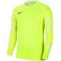 Nike Dry Park IV JSY LS GK Junior Lime Goalkeeper Sweatshirt CJ6072 702 XS
