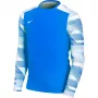 Nike Dry Park IV JSY LS GK Junior Goalkeeper Sweatshirt Royal Blue CJ6072 463 XL