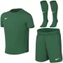 Nike Dri-FIT Park VIII Toddler Sports Set Green HV8260 302 Size S
