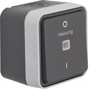 Hager WNC015 2-Pole Surface-Mount Control Switch with Indicator Light, Grey