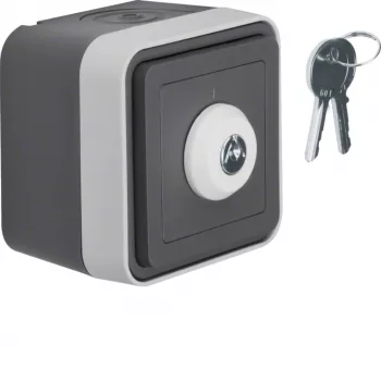 Hager WNC035 Key Switch Surface-Mounted 2-Pole Changeover IP44 Light Grey